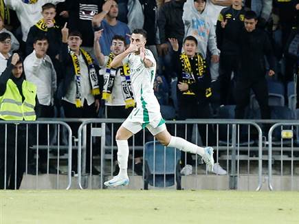 דוד כהרגלו כבש (אלן שיבר)