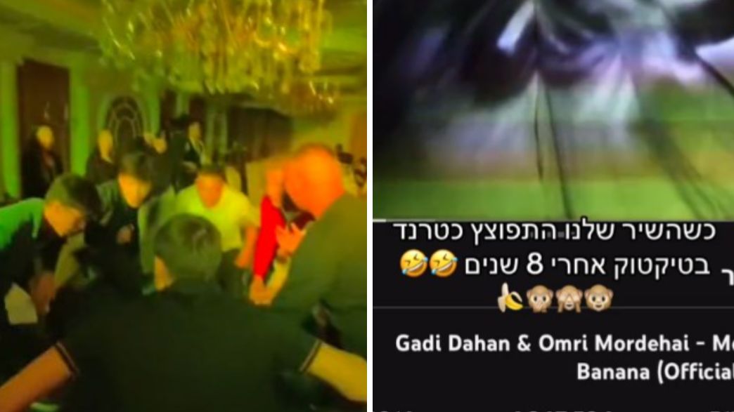 מאנקי בננה (צילום: מתוך טיקטוק)