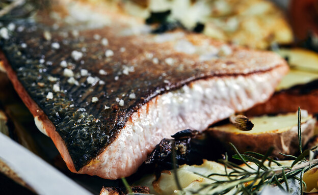 סלמון ירקות צלויים יוגב ירוס