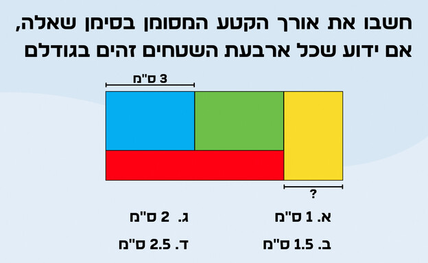 חידת מלבנים (איור: הפרופסור הלא המפוזר)