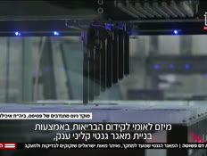 20gen_vtr2_n20241031_v1 (צילום: חדשות)