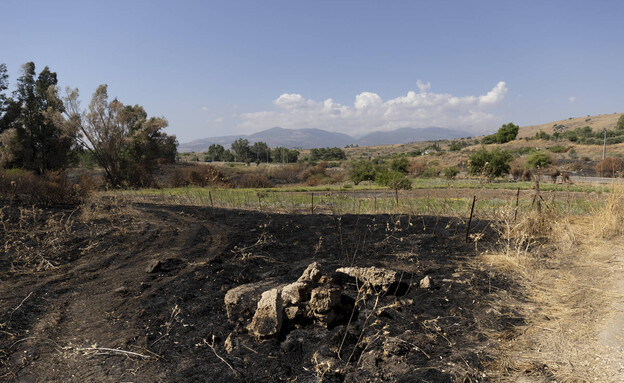 שטח שרוף בצפון (צילום: Amir Levy, getty images)