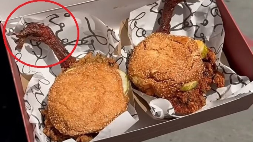 כריך קריספי צ'יקן של בירדבוקס כריך קריספי צ'יקן של בירדבוקס