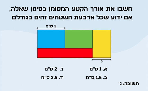 חידת המלבנים (איור: הפרופסור הלא המפוזר)