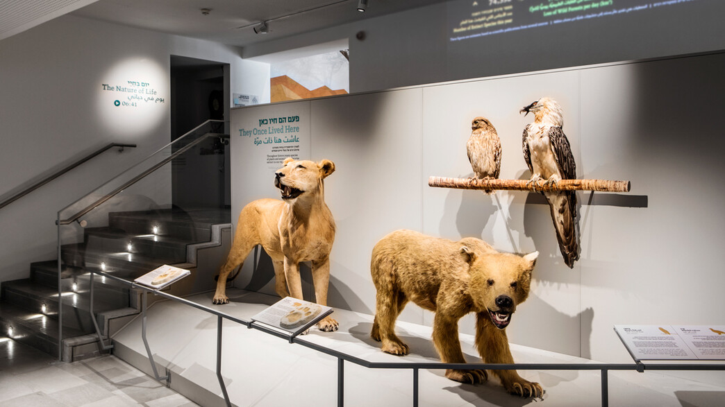 מוזיאון הטבע תל אביב מוזיאון הטבע תל אביב