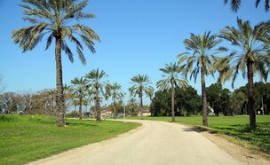 קיבוץ האון (צילום: ויקיפדיה)