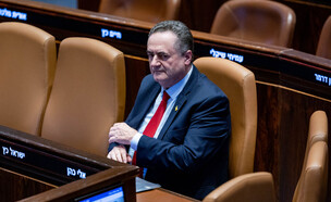 שר הביטחון ישראל כ"ץ (צילום: יונתן זינדל, פלאש 90)