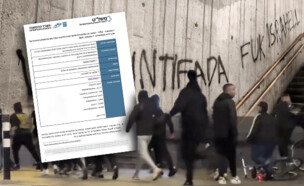 פרו פלסטיניים תוקפים ישראלים ברחובות אמסטרדם
