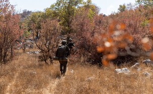 פעילות כוחות צה"ל בדרום לבנון (צילום: דובר צה"ל)