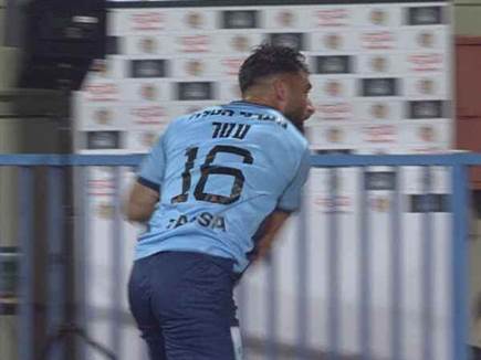 צמד צהובים הזויים