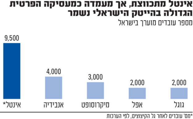 אינטל מצבת עובדים (אינפוגרפיקה: גלובס)