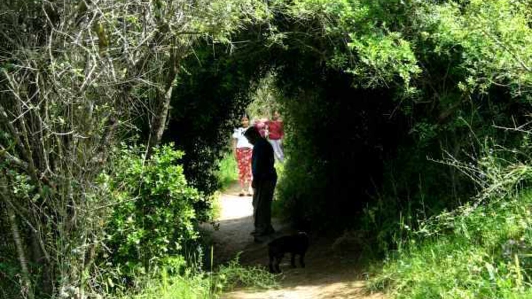 מסלול נחל קטלב מסלול נחל קטלב