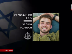 19hallim_vtr2_n20241117_v1 (צילום: חדשות)