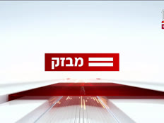 miv08_vtr2_n20241117_v1 (צילום: חדשות)