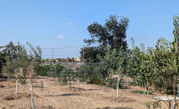 עוטף עזה (צילום: אילן ארנון)