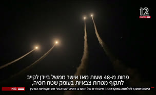 20ukrein_vtr2_n20241119_v1 (צילום: חדשות)