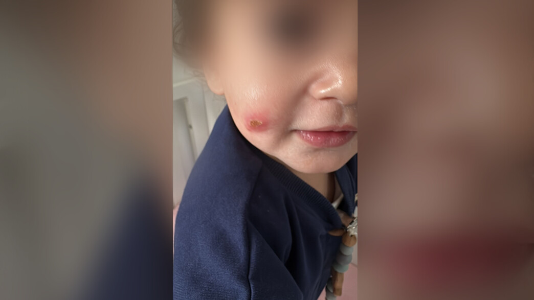 שושנת יריחו