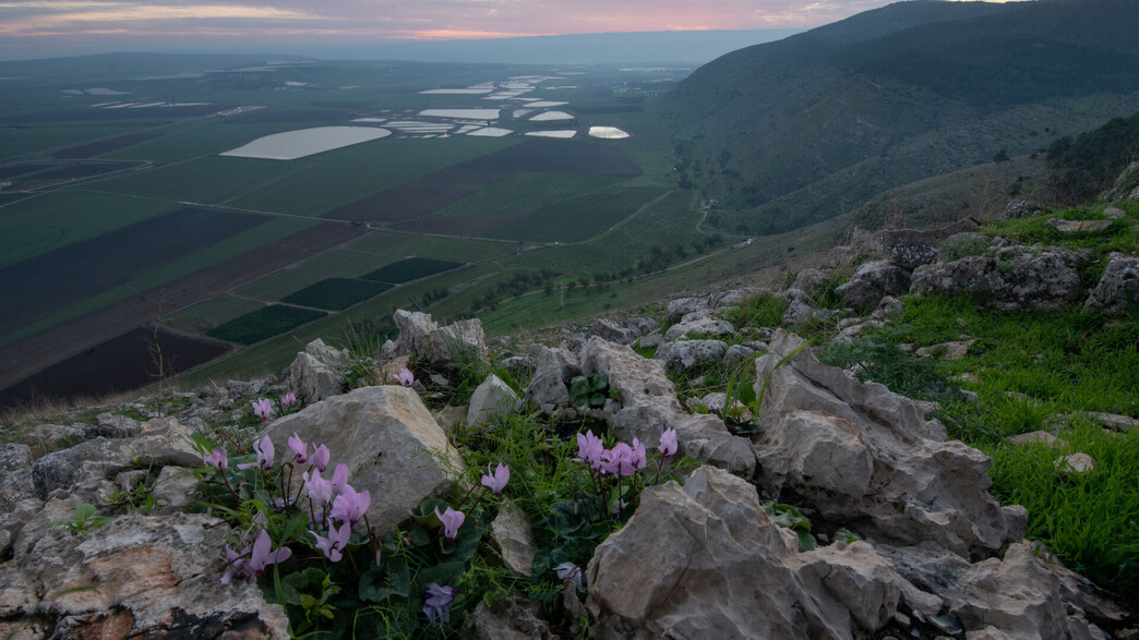 הר גלבוע הר גלבוע