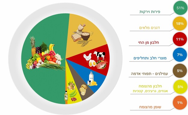 צלחת תזונתית מומלצת (איור: עיבוד מוסד שמואל נאמן לנתוני משרד הבריאות – קשת המזון החדשה של ישראל)