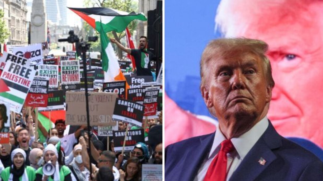 טראמפ, הפגנה פרו פלסטינית