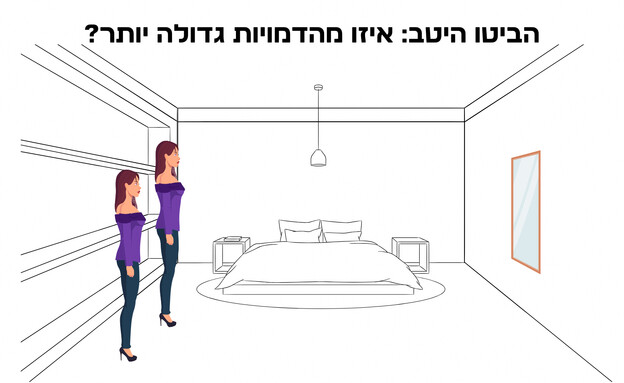 חידת אשליה אופטית (איור: הפרופסור הלא המפוזר)