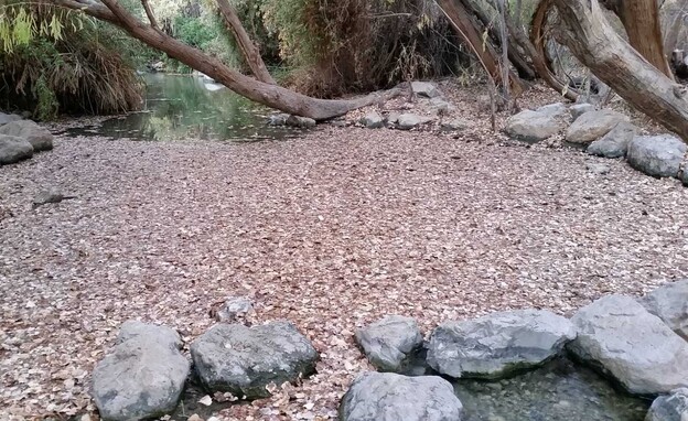 עינות צוקים (צילום: אלדד חזן, רשות הטבע והגנים)