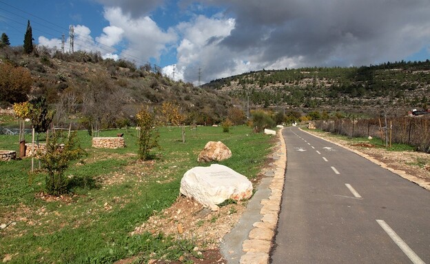 עינות תלם (צילום: אחיה טובי, רשות הטבע והגנים)