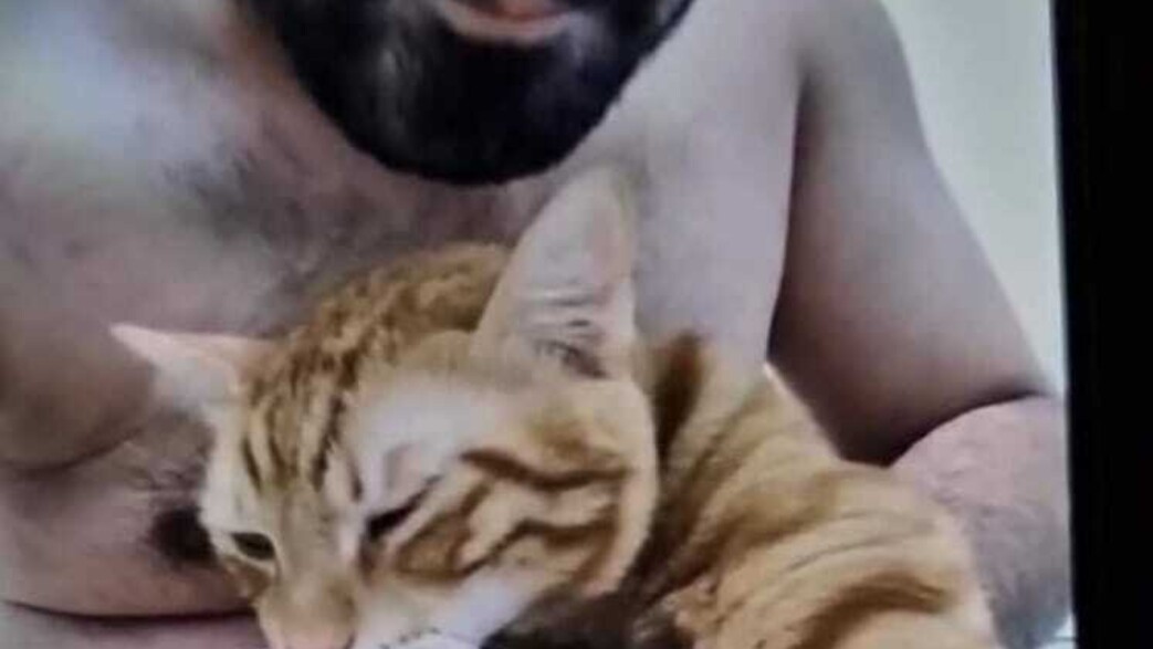 החשוד בהתעללות והחתול החשוד בהתעללות והחתול