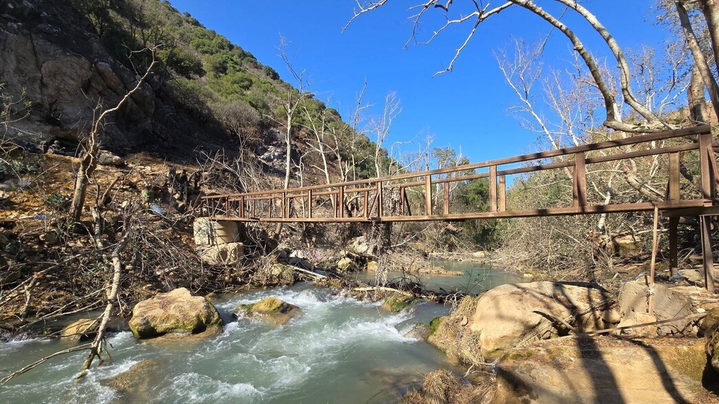 פשיטה על הליטאני: מבצע מיוחד של לוחמי סיירת גולני פשיטה על הליטאני: מבצע מיוחד של לוחמי סיירת גולני