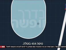 20flights_vtr2_n20241127_v1 (צילום: חדשות)