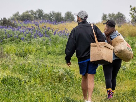 עדיין קר לעונה – לקראת התחממות בסוף השבוע