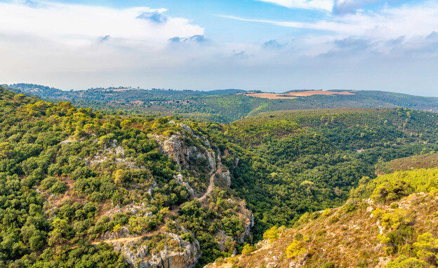 צפון רכס הכרמל (צילום: zaikanata, shutterstock)