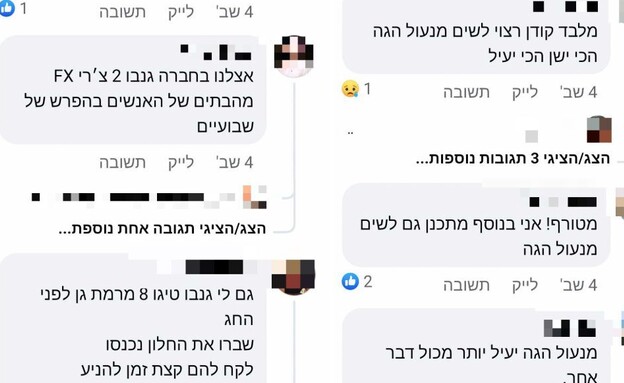 התגובות בקהילת צ'רי ישראל בפייסבוק (צילום: פייסבוק - צילום מסך)