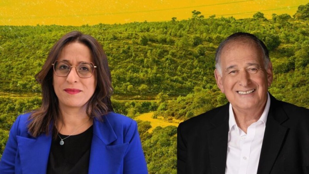 נדלן 2.12 נדלן 2.12