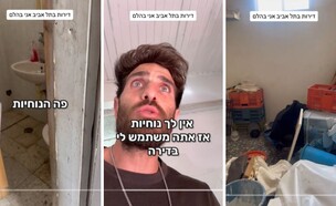 תמיר גולן דירה תל אביבית (צילום: טיקטוק)