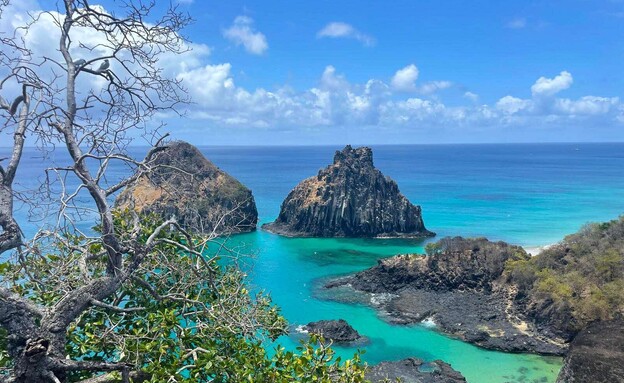 Fernando de Noronha Brazil (צילום: אלן שטרסברג – סול לטינו ג'נסיס)