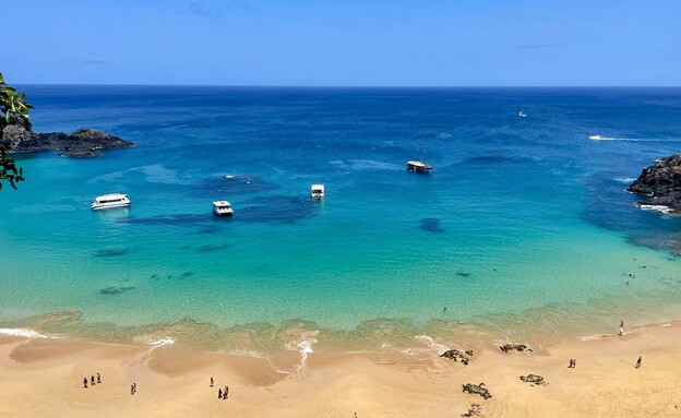 Fernando de Noronha Brazil (צילום: אלן שטרסברג – סול לטינו ג'נסיס)