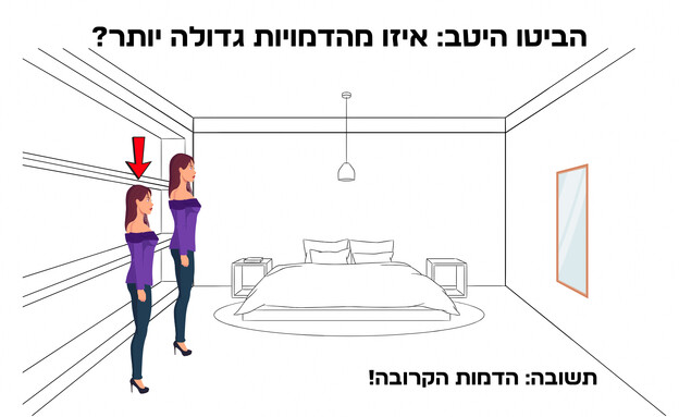 חידת האשליה האופטית (איור: הפרופסור הלא המפוזר)