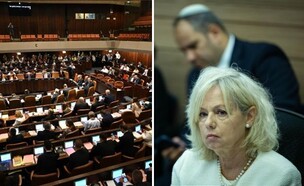 מליאת הכנסת, גלי בהרב-מיארה