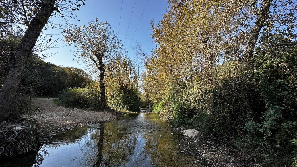 טיול שמורת נחל כזיב (צילום: מירב טלמור-קשי)