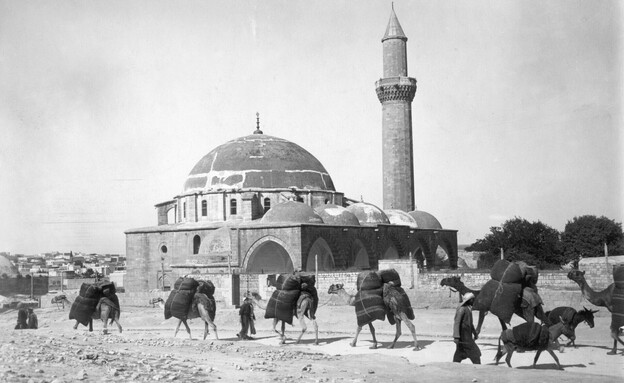 חלב סוריה שיירת גמלים (צילום: Bettmann , getty images)