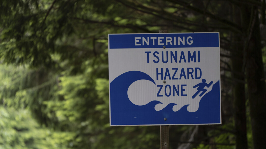 אזהרת צונאמי