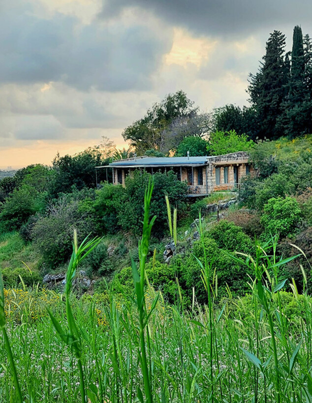 כליל (צילום: עופר שכטמן)