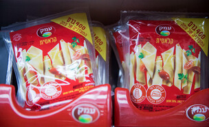 גבינה צהובה עמק תנובה (צילום: יונתן זינדל, פלאש 90)