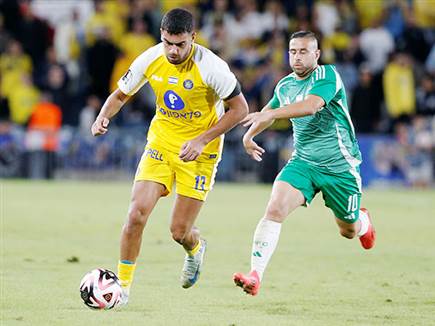 (אלן שיבר) (אלן שיבר)