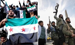 הפלת משטר אסד (צילום: Reuters, Ap)