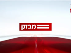 miv08_vtr2_n20241215_v1 (צילום: חדשות)