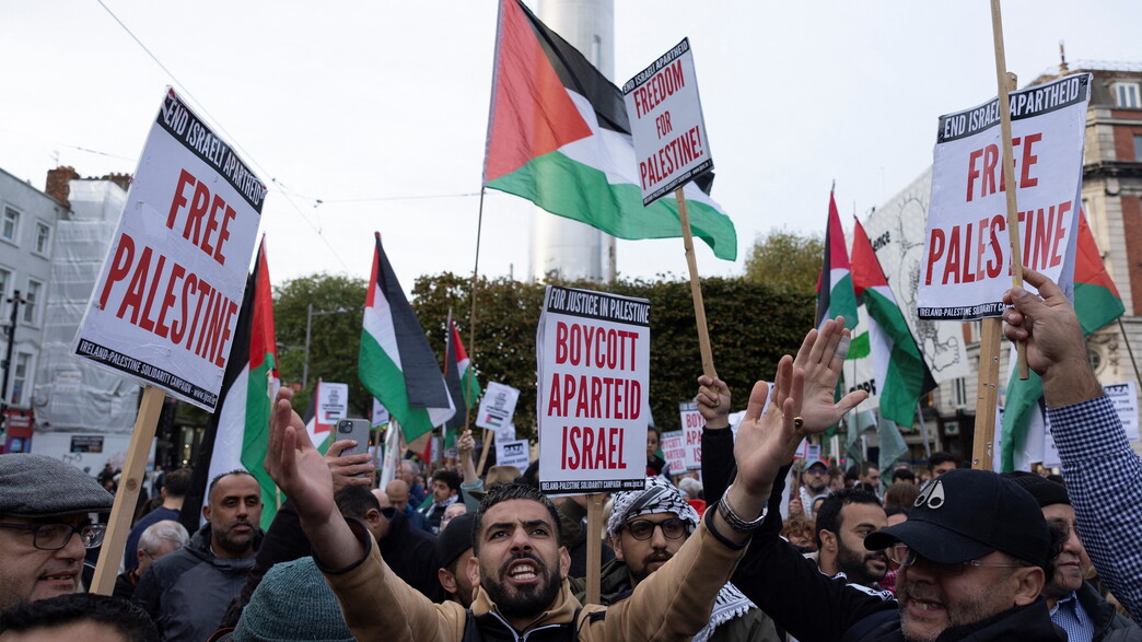 הפגנות פרו פלסטניות באירלנד