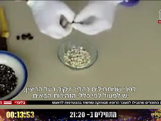 20dash_vtr2_n20241217_v1 (צילום: חדשות)