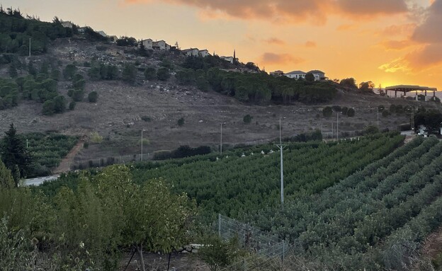 מילואימניקים הנוף (צילום: גל בדנני הראל)